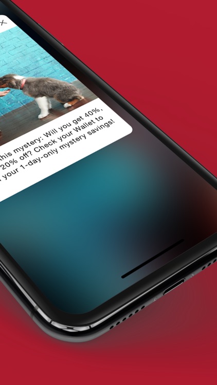 Kohl's screenshot-7