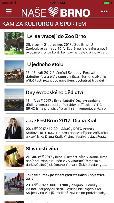 Naše Brno screenshot 4