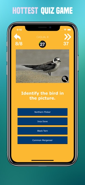 Birds Quiz - Birding Trivia(圖7)-速報App