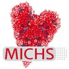 MICHS - 2018