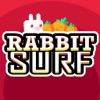 Rabbit Surf