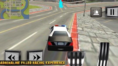 Police Car Catch Criminal screenshot 2