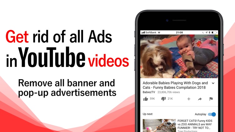 BlockTube-Adblocker forYouTube
