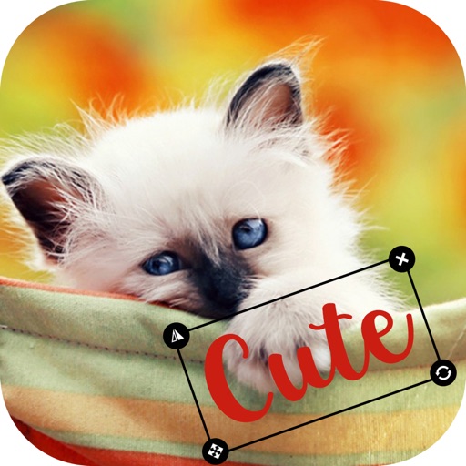 Animal Emojis With Text&Photos icon