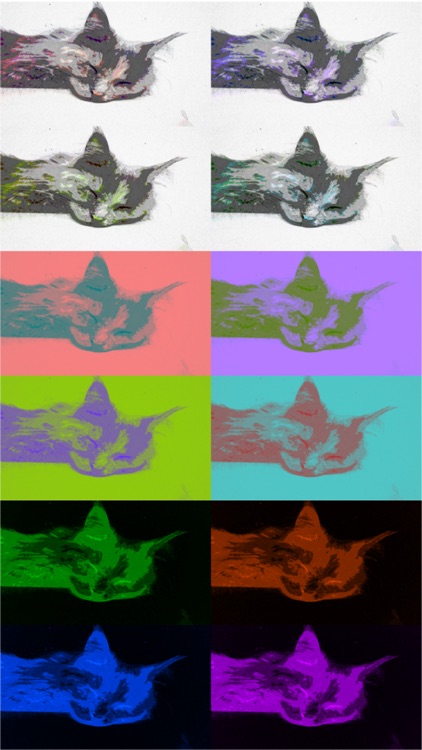Art Serigraphy - Photo Editor