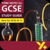 Frankenstein York Notes for GCSE 9-1