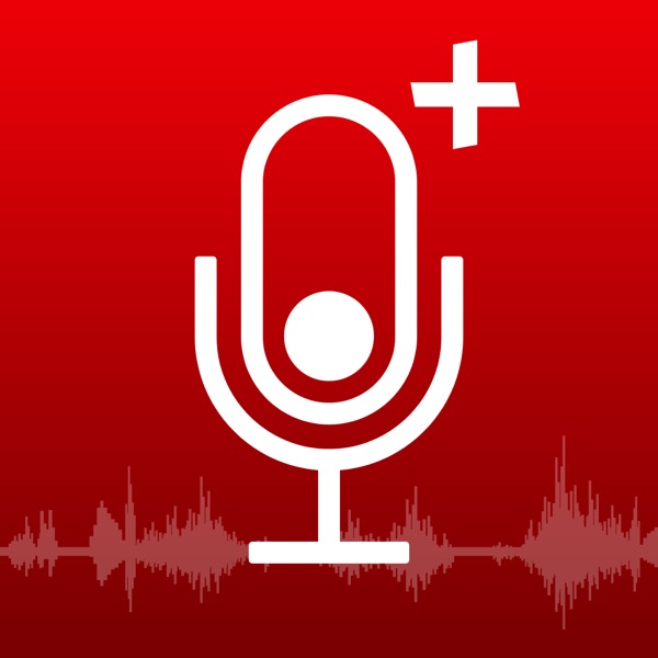 Voice plus. Voice Recorder. Illustration Voice Recorder. 3d icons about Voice Recorder. Appdev.