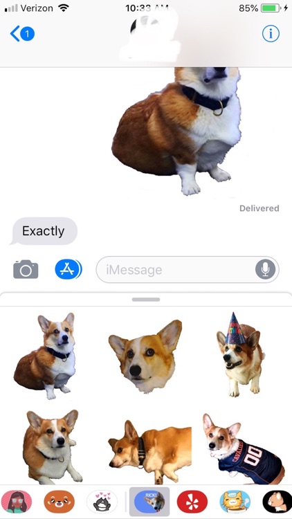 Corgi Rick Rick Sticks