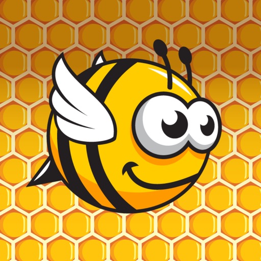 Up Down Bee icon