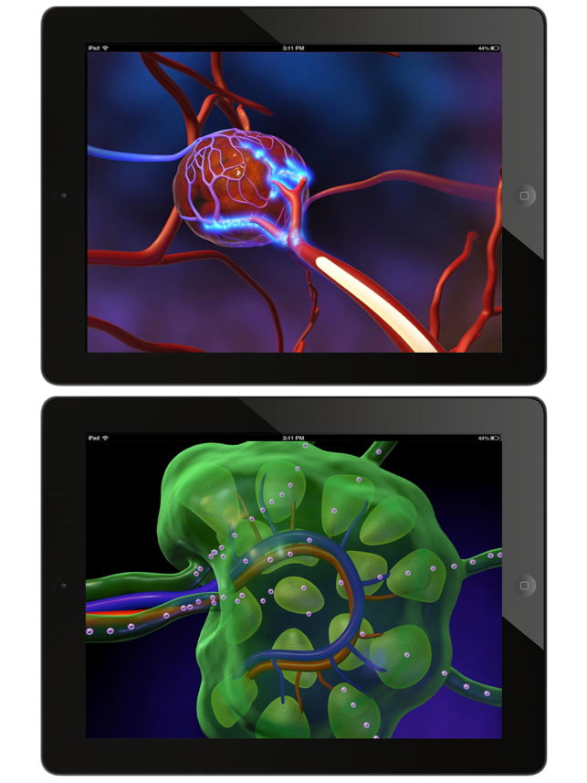 Animated Physiology & Anatomy(圖4)-速報App