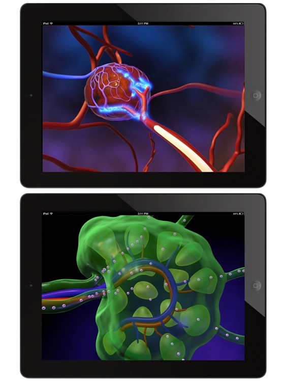 Animated Physiology & Anatomy screenshot-3