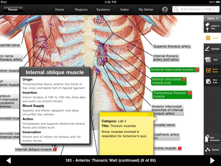 Netter's Anatomy Atlas screenshot-3
