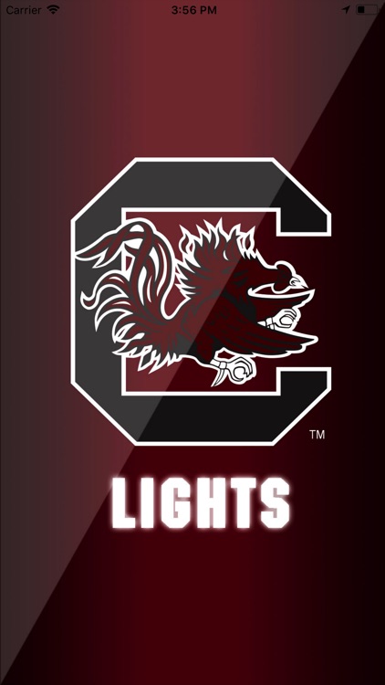 Gamecock Lights