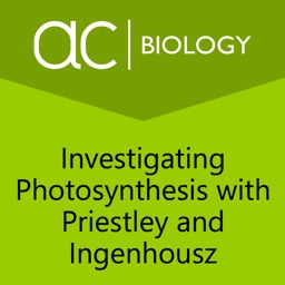 Investigating Photosynthesis 2