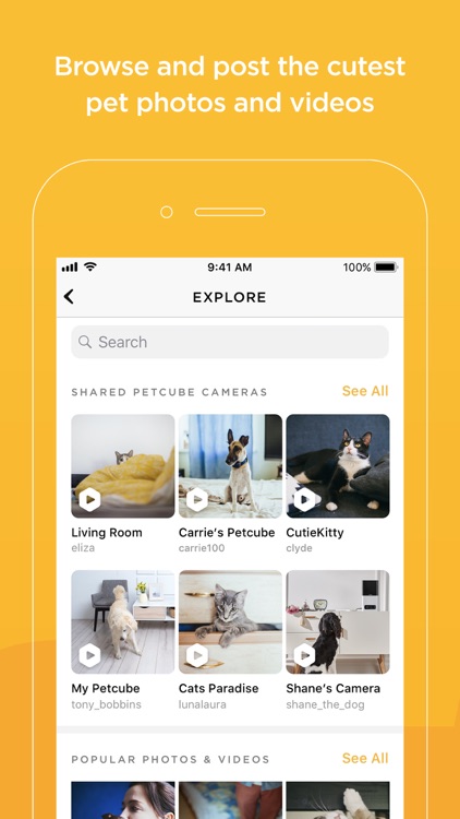 Petcube screenshot-4
