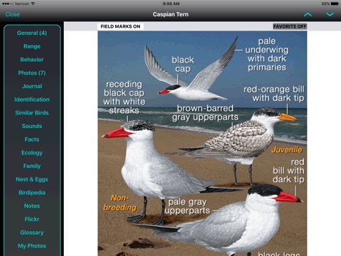 iBird Canada Guide to Birds screenshot 2