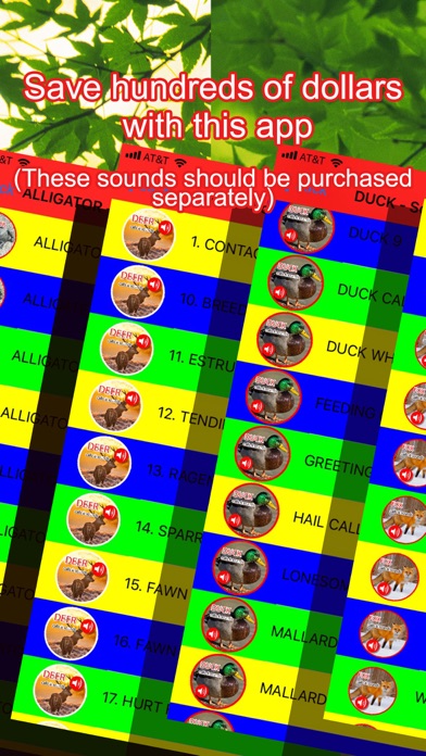 2000+ Animal Sounds Calls screenshot 3