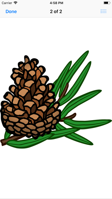 Pine Cone Stickers screenshot 3