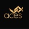 Detailed inventory application customised for Aces Co