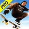 Skateboard Party 3: Pro