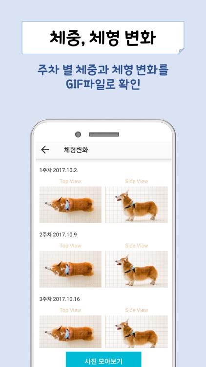 먹고자고싸고 멍멍 screenshot-5