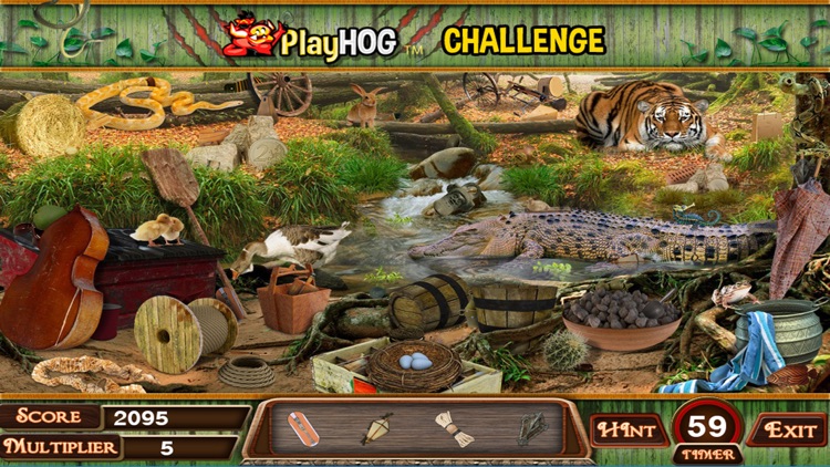 Jungle Fever Hidden Objects