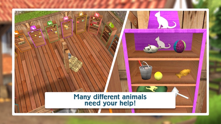 PetWorld: Animal Shelter