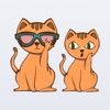 Jubil - The cat emoji and...