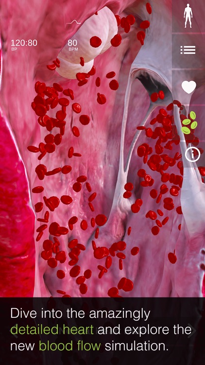 INSIGHT HEART screenshot-0