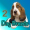 Using “Dog Breeds of the World“ makes it easy to select a dog breed from 400 described and illustrated breeds