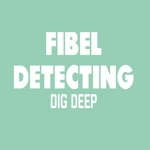Fibel Metal Detecting
