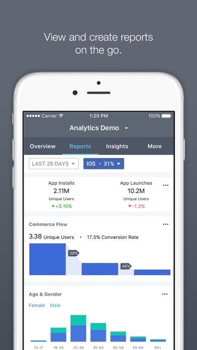 Facebook Analytics screenshot1