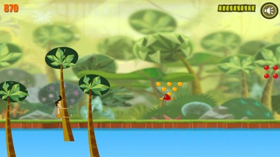 Jungle Adventure！ screenshot 2
