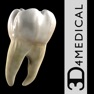 Get Dental Patient Education for iOS, iPhone, iPad Aso Report