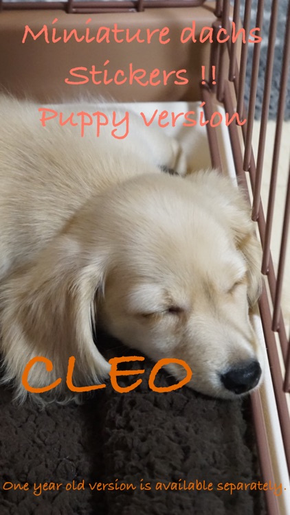 Cleo Daily Sticker Puppy Era