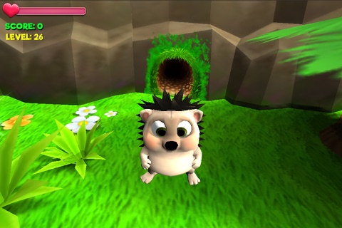 Hedgehog Goes Home screenshot 2
