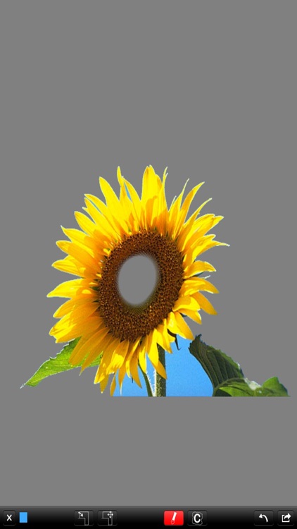 PictureBlenderLITE screenshot-3