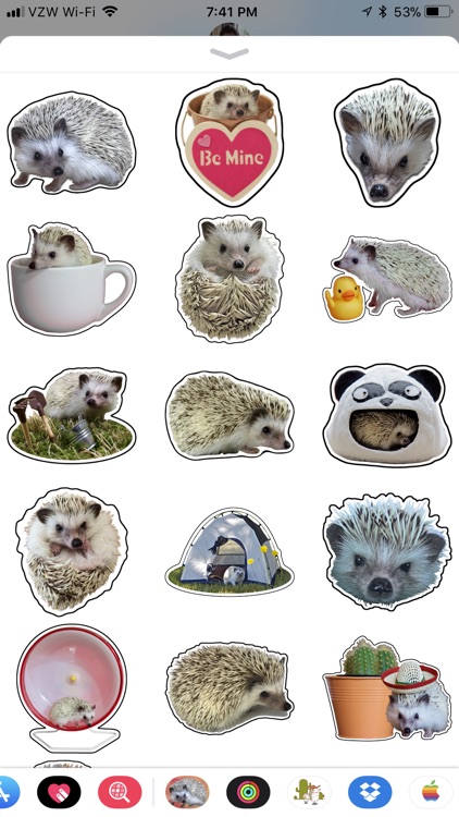 Quill the Hedgehog