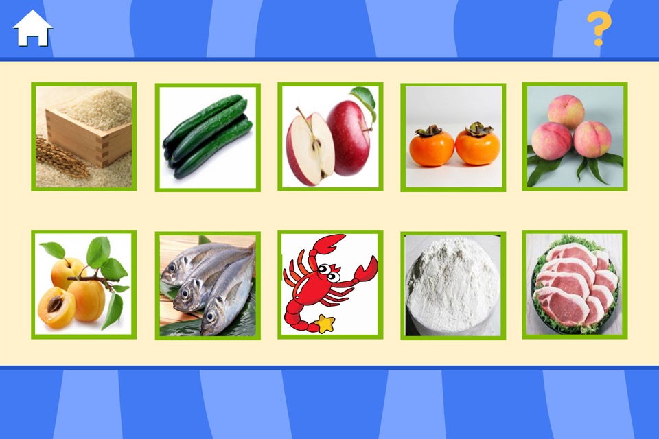 兔宝宝早教-认食物，认动物，认颜色 screenshot 2