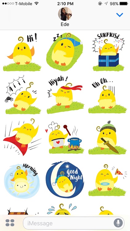 Cute Ming Cheep Stickers
