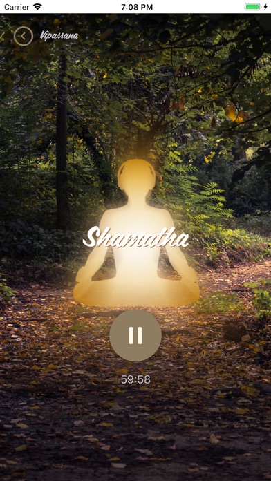 Vipassana Insight screenshot 4