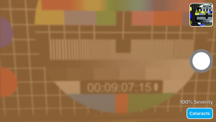 Vision Impairment Simulator screenshot-6