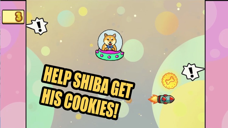 Shiba In Space