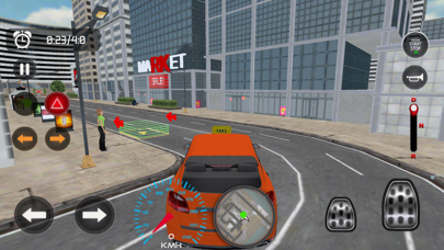 New York Taxi Driving Sim 3D screenshot 3