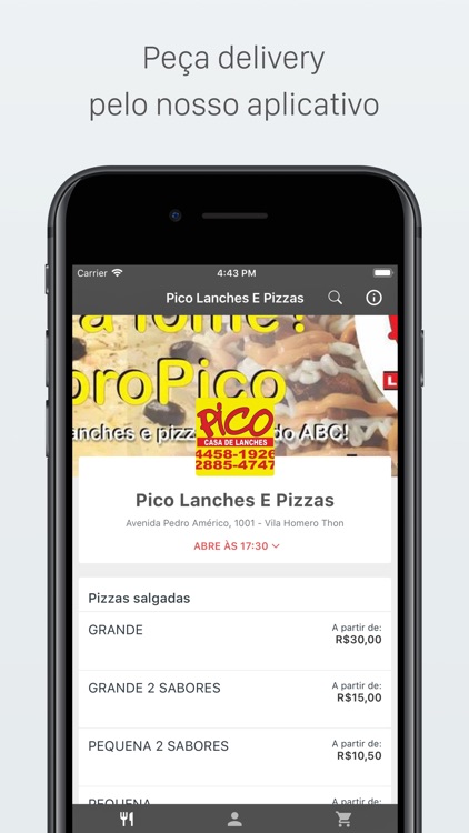 Pico Lanches E Pizzas Delivery