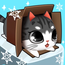Kitty in the Box