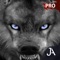 Deadly big game animals run wild, hunt by day or night and in all conditions