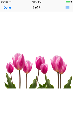 Terrific Tulip Stickers(圖7)-速報App