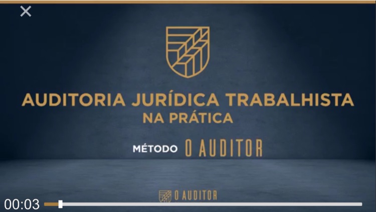 O Auditor