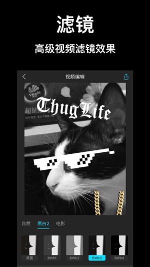 Thug Life - 暴徒生活视频软件(圖3)-速報App